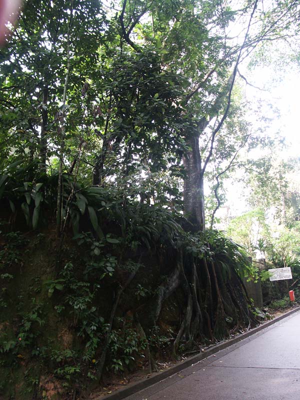 PICT0007