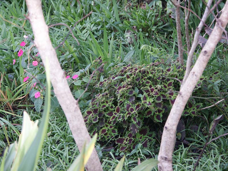 PICT0076