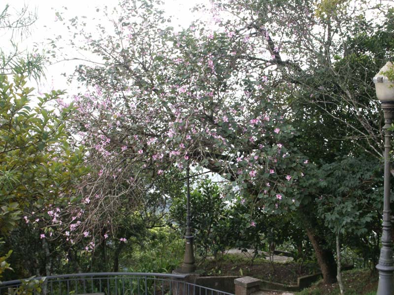 PICT0077