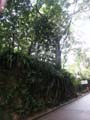 PICT0007