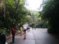 PICT0008