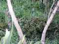 PICT0076
