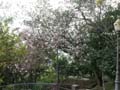 PICT0077