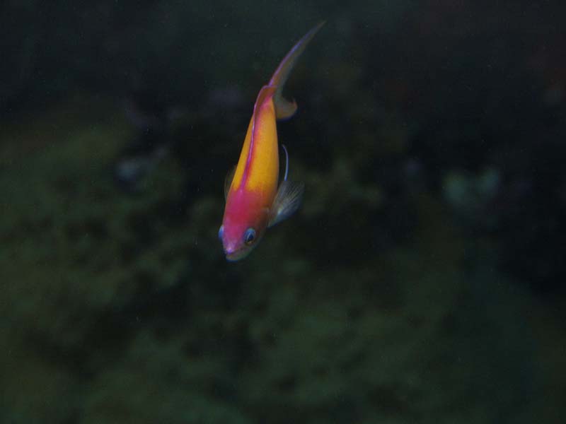 PICT0051