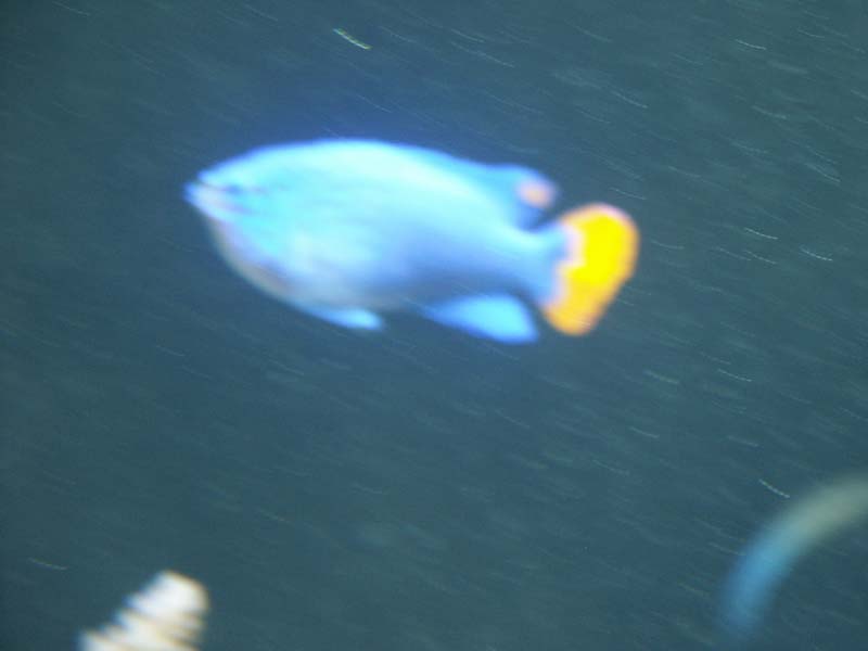 PICT0055