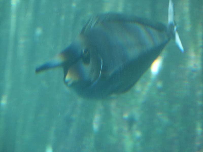 PICT0058
