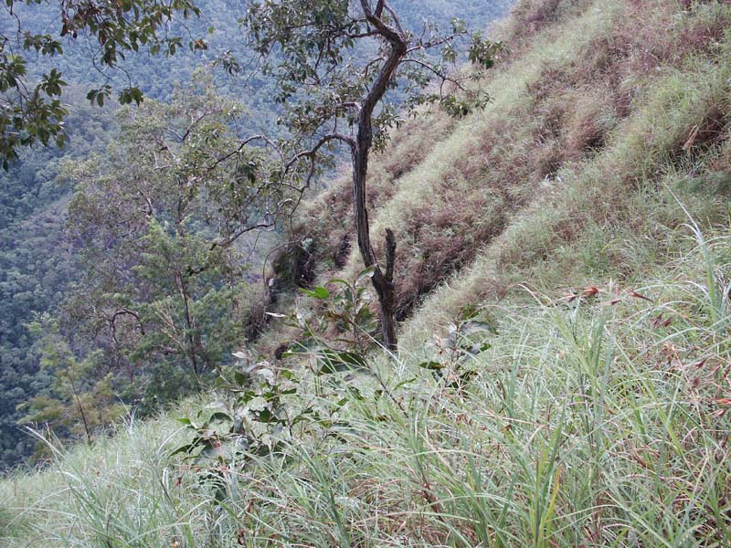PICT0079