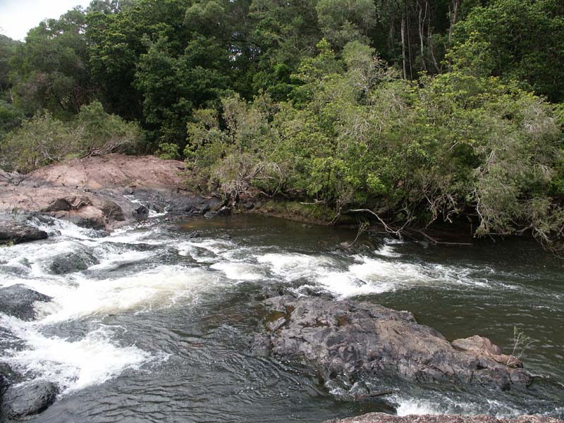 PICT0133