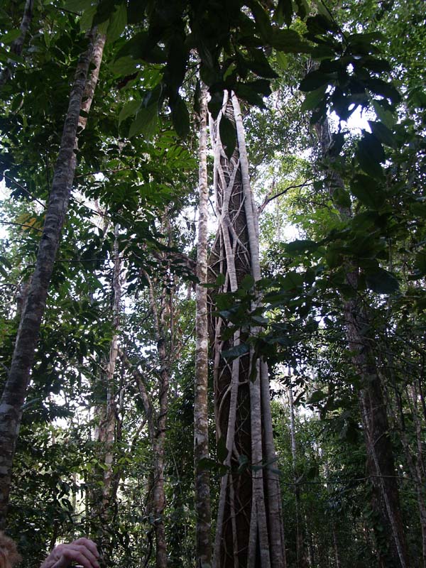 PICT0158