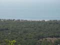 PICT0017