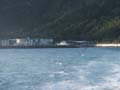 PICT0033