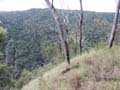 PICT0073