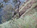 PICT0079