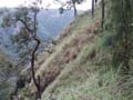 PICT0080