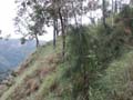 PICT0081