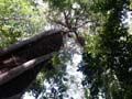 PICT0160