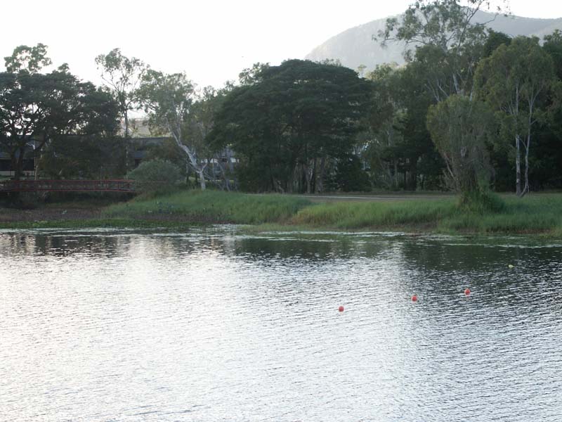 PICT0050