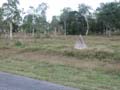 PICT0006