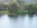 PICT0052