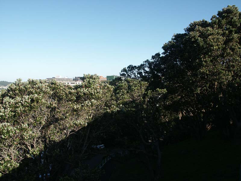 PICT0054
