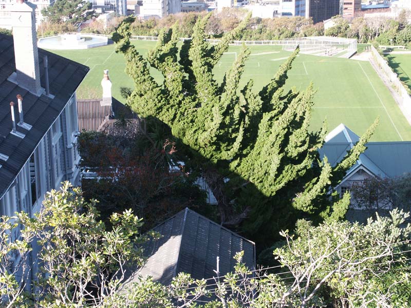 PICT0056