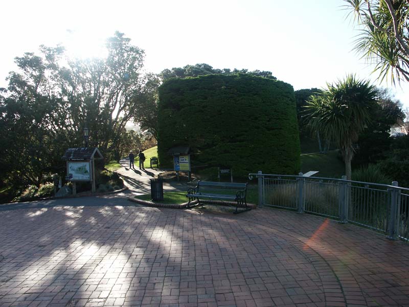 PICT0080