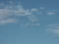 PICT0086