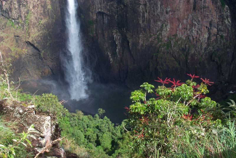 P0017742