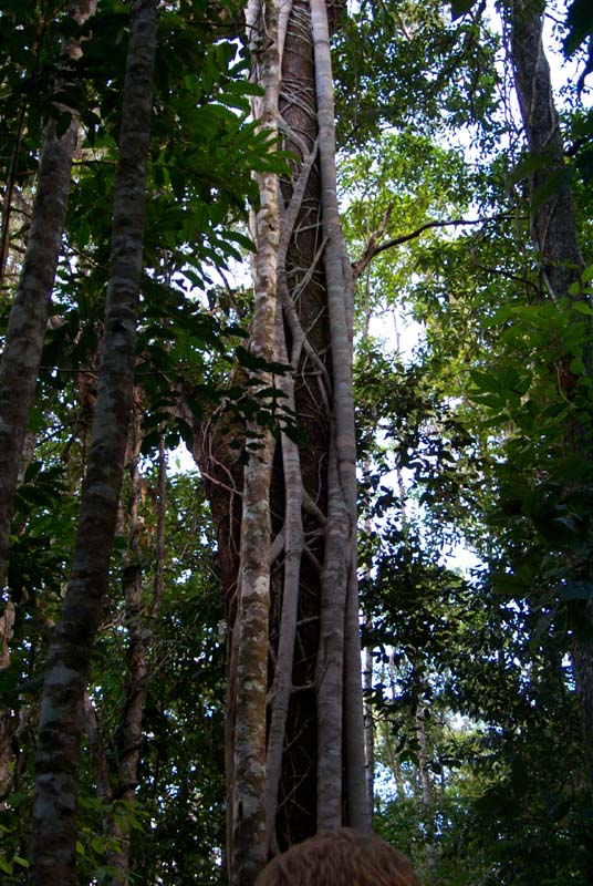 P0017752
