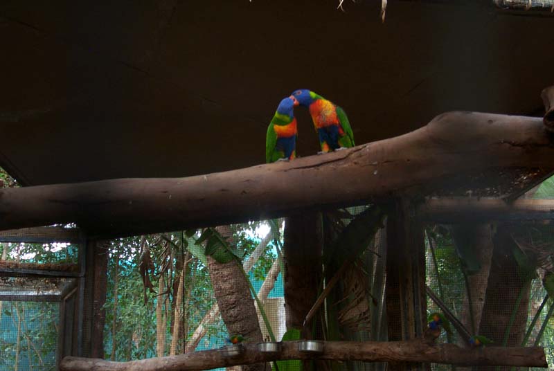 P0017775