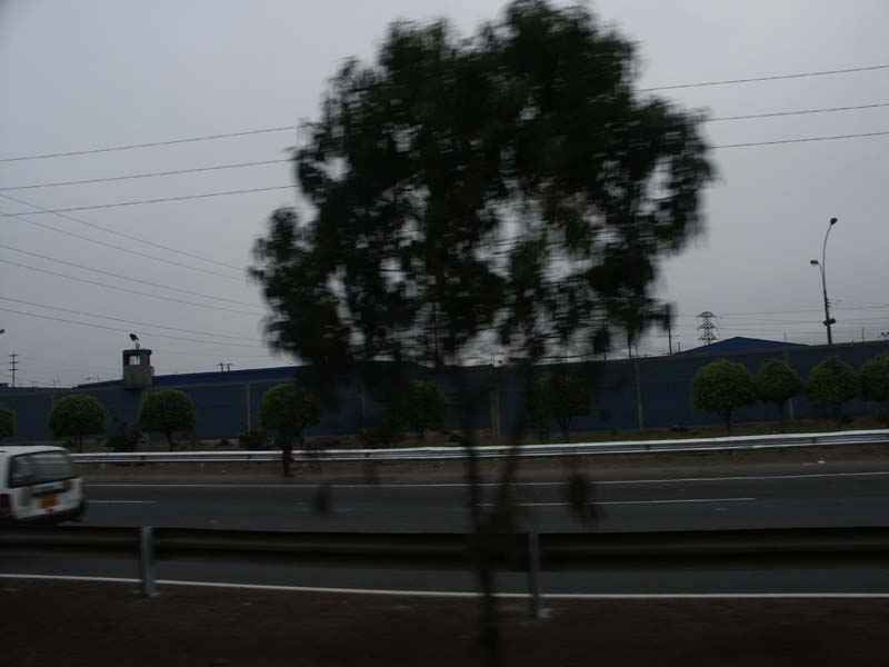 PICT0082
