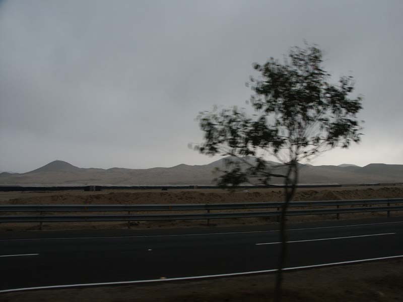 PICT0095