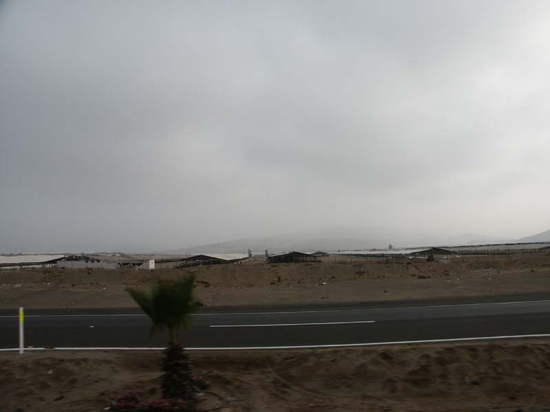 PICT0096