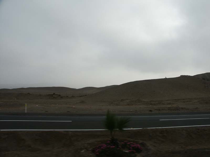 PICT0098