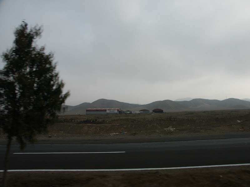PICT0100