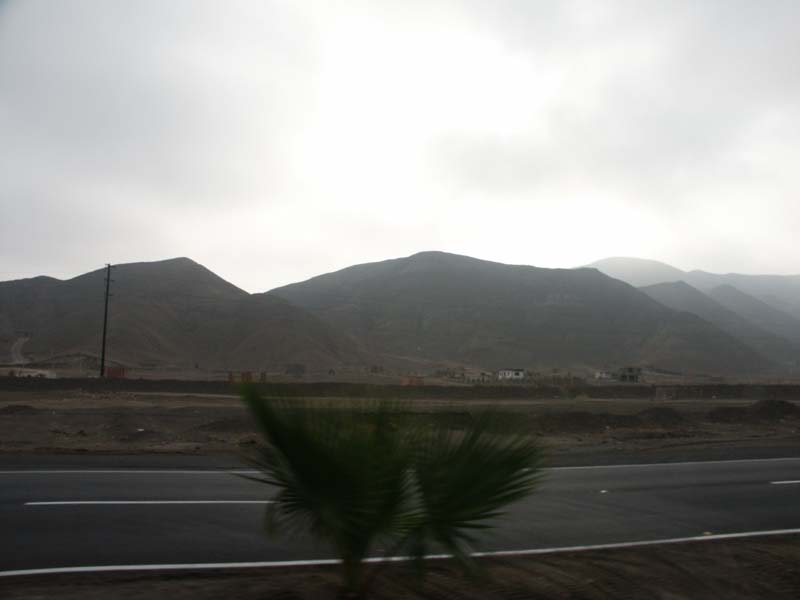 PICT0101