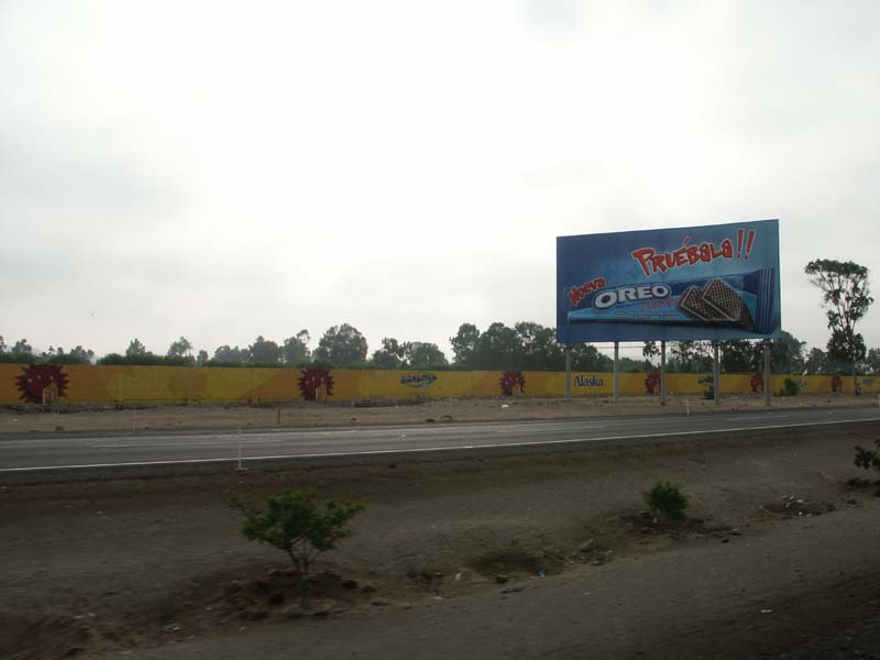 PICT0110