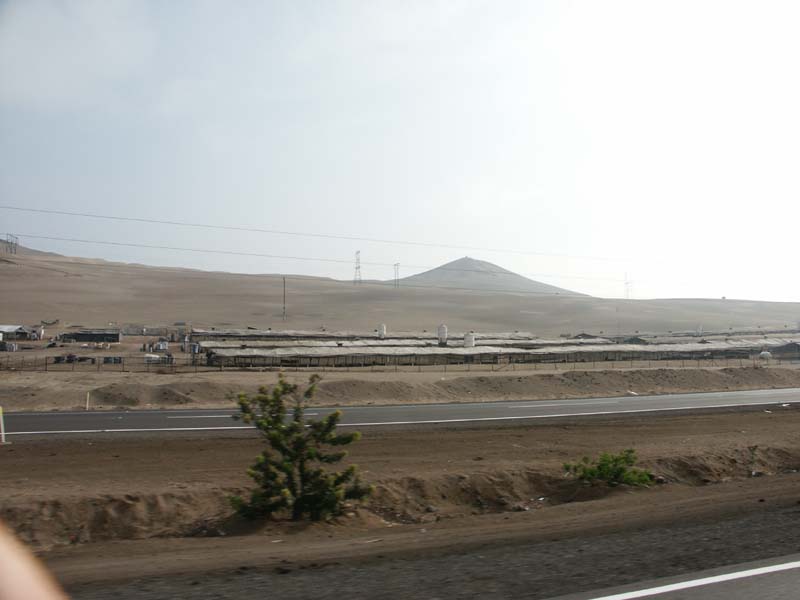 PICT0113