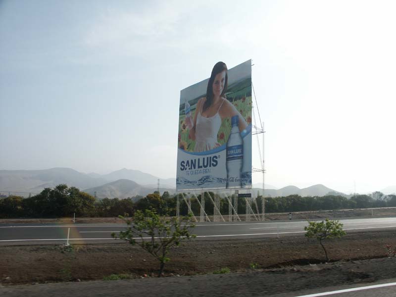 PICT0114