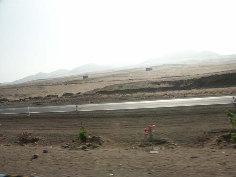 PICT0117