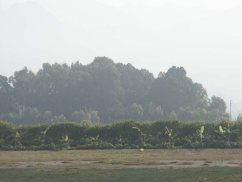 PICT0123
