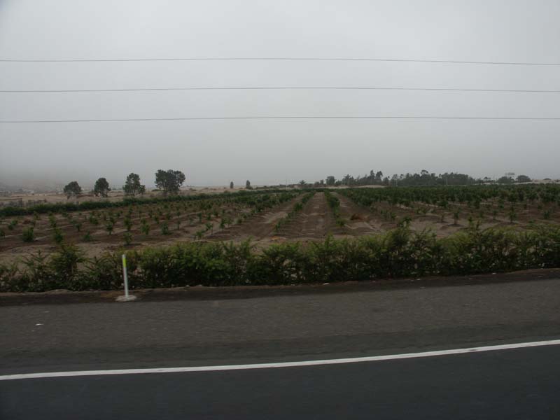 PICT0001