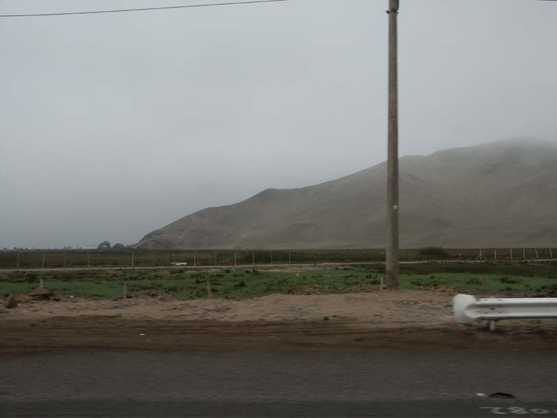 PICT0005