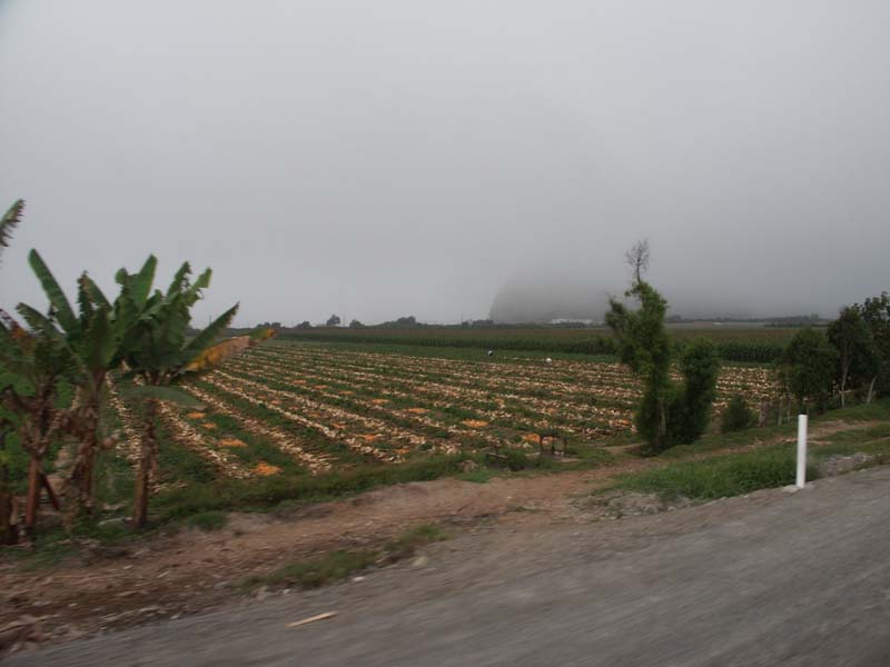 PICT0017