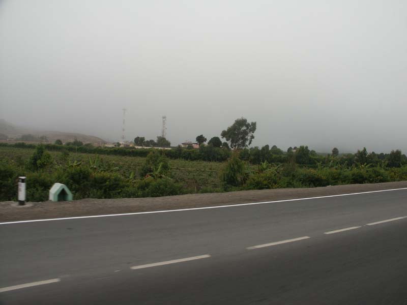 PICT0020