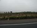 PICT0001