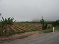 PICT0017