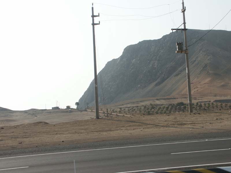 PICT0009