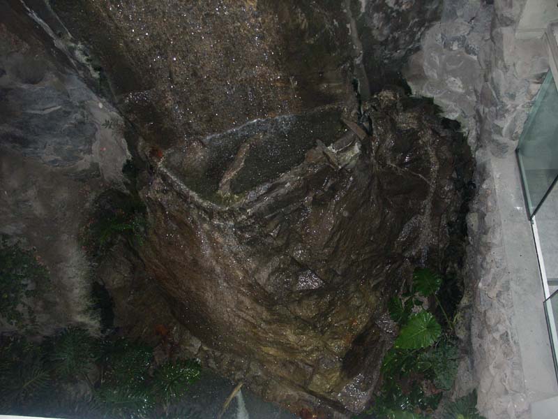 PICT0231