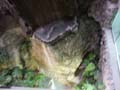 PICT0229